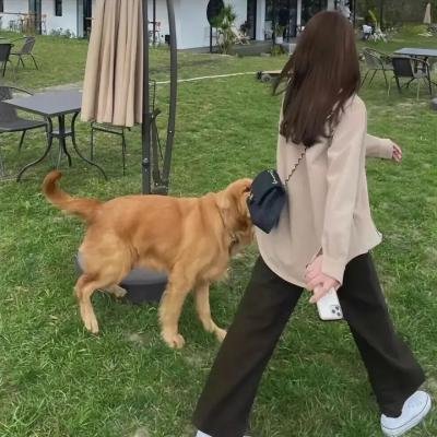 弦管动春心 封面