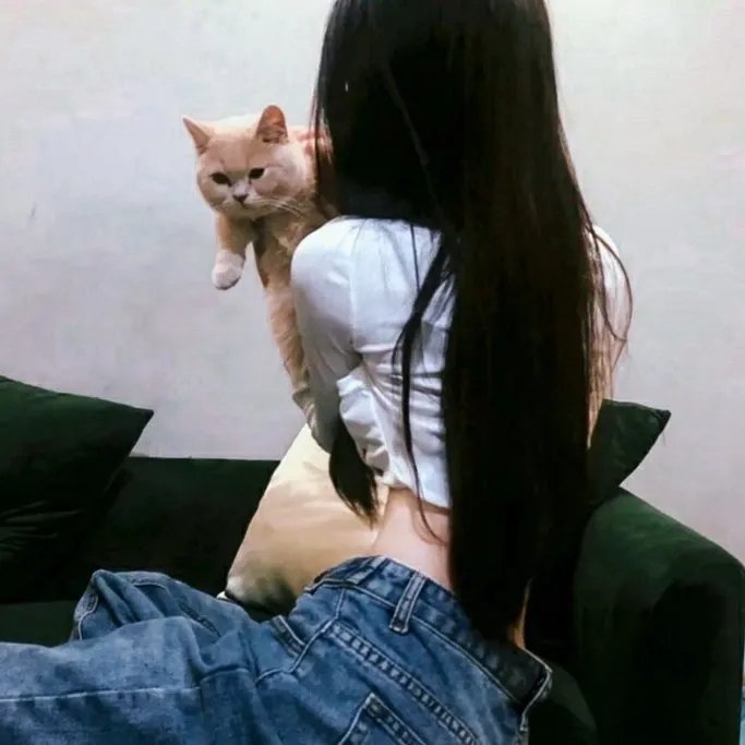 陀枪师姐 封面